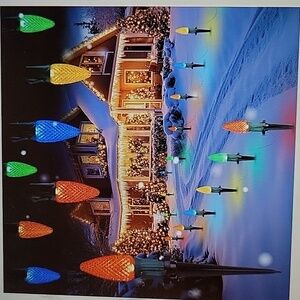 Brightown C9 20 bulb LED lightset Christmas pathway stakes multicolor 25…New